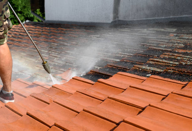 Best Residential Pressure Washing Services  in Millis Clicquot, MA