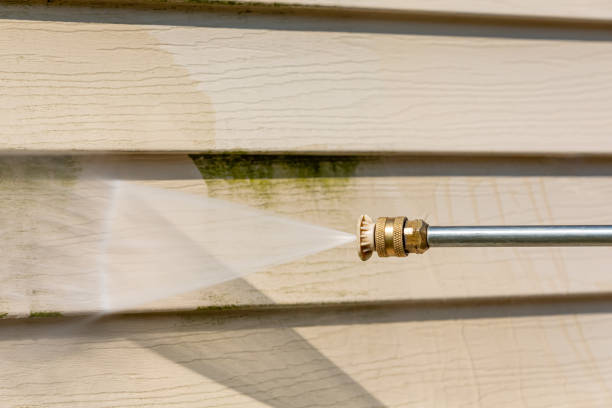 Best Affordable Pressure Washing  in Millis Clicquot, MA